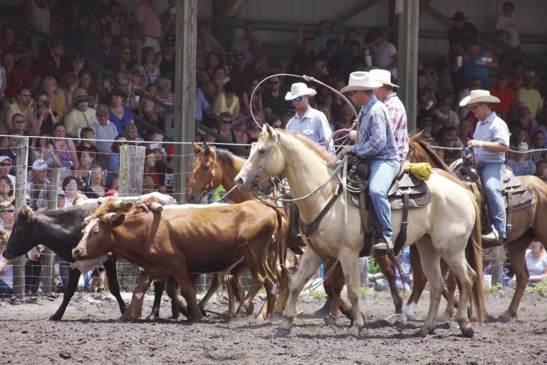 Cracker Day Volusia County Cattlemen's Association